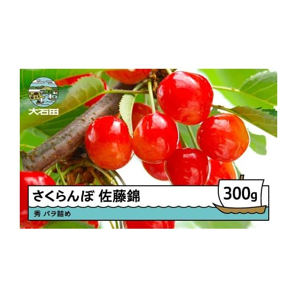 容量秀 300g発送期日6月中旬~6月下旬頃に発送※生育の状況により多少前後することがあります。配送冷蔵 時間指定 別送事業者山形eLab申込条件何度も申し込み可