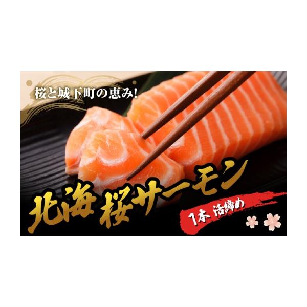 ふるさと納税 魚貝類 サーモン 北海道 松前町 北海桜サーモン 1本活締め 2~3kg 新鮮 刺身 冷蔵 陸上養殖 生食可 桜色 トラウト サーモン 鮭 生鮭 サケ さけ 一…