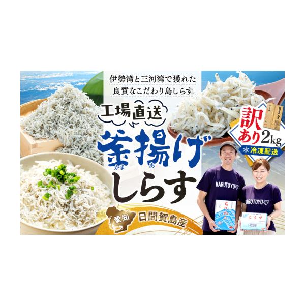 【保存された】ふるさと納税 冷凍釜揚げしらす500g(100g×5袋)【配送不可地域：離島】【1296362】 和歌山県日高町