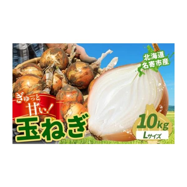 容量Lサイズ( 玉ねぎ10kg )発送期日2026年10月上旬〜12月上旬出荷予定配送常温 別送申込期日2026／12／07事業者JA道北なよろ申込条件何度も申し込み可