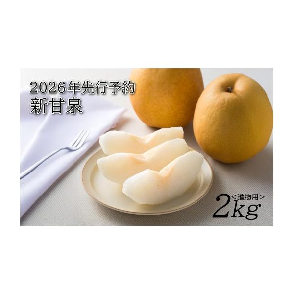 容量新甘泉 2kg（進物用）消費期限常温7日前後発送期日2026年9月頃（生育状況により前後する場合がございます。）配送常温 別送事業者山根農園申込条件何度も申し込み可