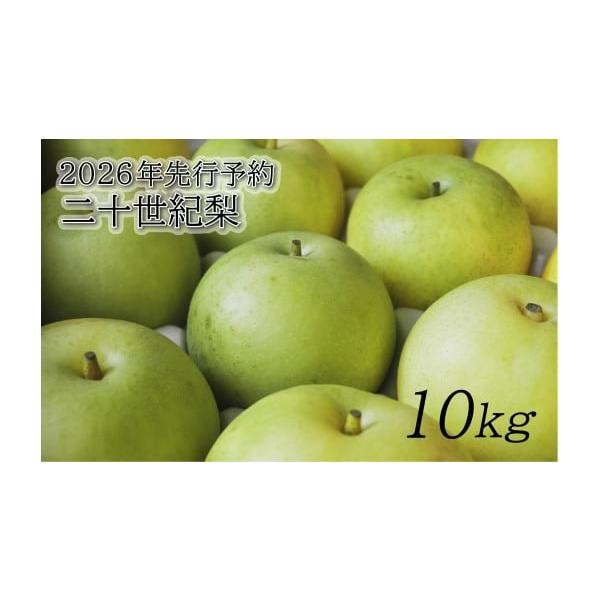 容量二十世紀梨 10kg4L〜L（22玉〜35玉）消費期限常温7日前後発送期日2026年8月下旬〜9月（生育状況により前後する場合がございます。）配送常温 別送申込期日数量限定事業者東光園申込条件何度も申し込み可