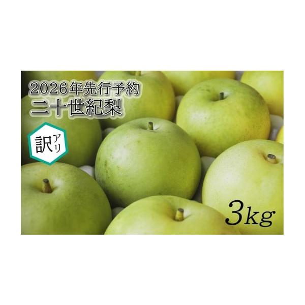 容量訳あり二十世紀梨 3kg消費期限常温7日前後発送期日2026年8月下旬〜9月（生育状況により前後する場合がございます。）配送常温 別送申込期日数量限定事業者東光園申込条件何度も申し込み可