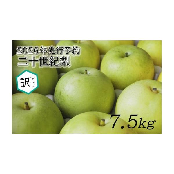 容量訳あり二十世紀梨 7.5kg消費期限常温7日前後発送期日2026年8月下旬〜9月（生育状況により前後する場合がございます。）配送常温 別送申込期日数量限定事業者東光園申込条件何度も申し込み可