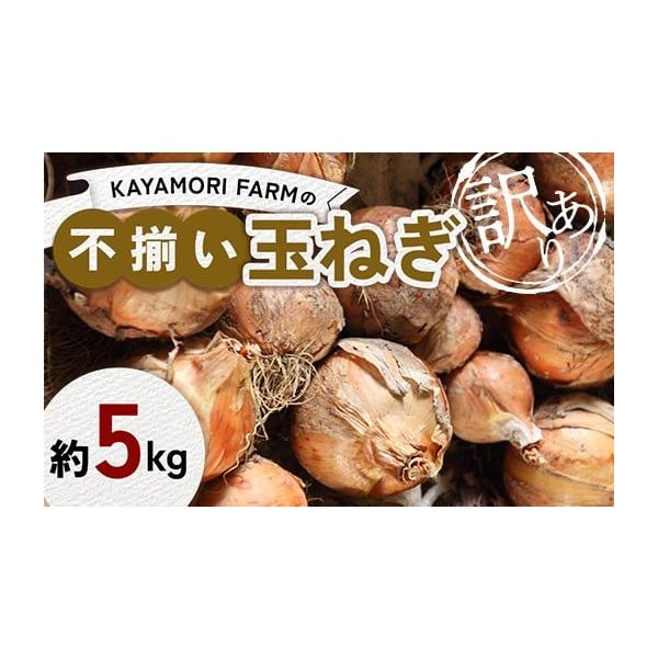 容量玉ねぎ 約5kg消費期限出荷後 20日発送期日2026年6月中旬〜2026年8月下旬に順次発送配送冷蔵 時間指定 別送申込期日2026年8月10日まで事業者KAYAMORI FARM申込条件何度も申し込み可