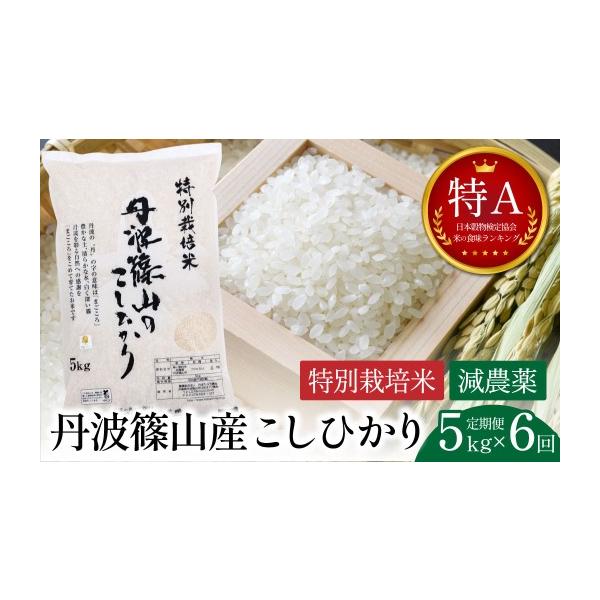 ふるさと納税 米 コシヒカリ 兵庫県 丹波篠山市 定期便・令和8年早期