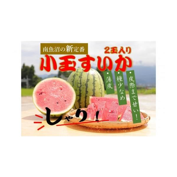 容量2玉（1玉2〜3キロ）消費期限発送日より5日【保存方法】常温発送期日令和8年7月中旬より準備でき次第、順次発送いたします。配送常温 別送申込期日〜 2026年8月06日事業者株式会社うちやま農園申込条件何度も申し込み可、オンライン決済限定