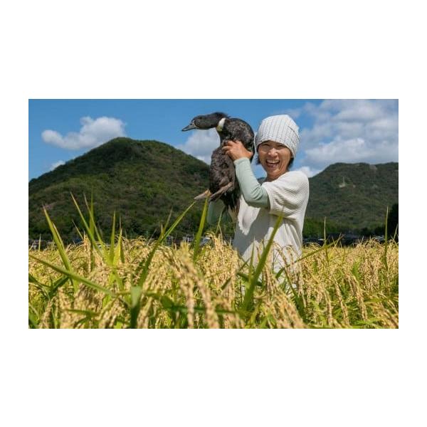 容量アイガモレバー 5個アイガモすなぎも 5個アイガモ心臓（ハツ） 5個アイガモせせり 6本約50〜60gアイガモささみ 100gすべて多可町中区東安田産アイガモ（真鴨×チェリーバレー種の交配種、平飼い・抗生物質及び成長ホルモン不使用・遺伝...