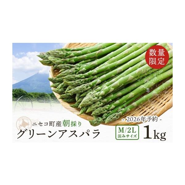 容量・グリーンアスパラ（Ｍ500g・2Ｌ500g）1kg消費期限なるべく早めにお召し上がり下さい。発送期日2026年5月中旬から6月中旬（予定）配送冷蔵 時間指定 別送申込期日2026年5月30日まで受付致します。事業者ニセコビュープラザ直...