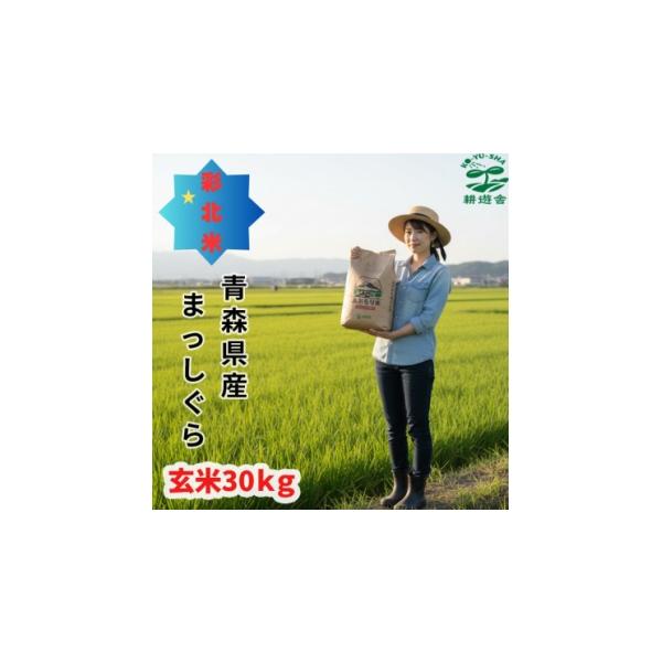 ふるさと納税 玄米 青森県 青森市 先行予約受付 令和8年 青森県産