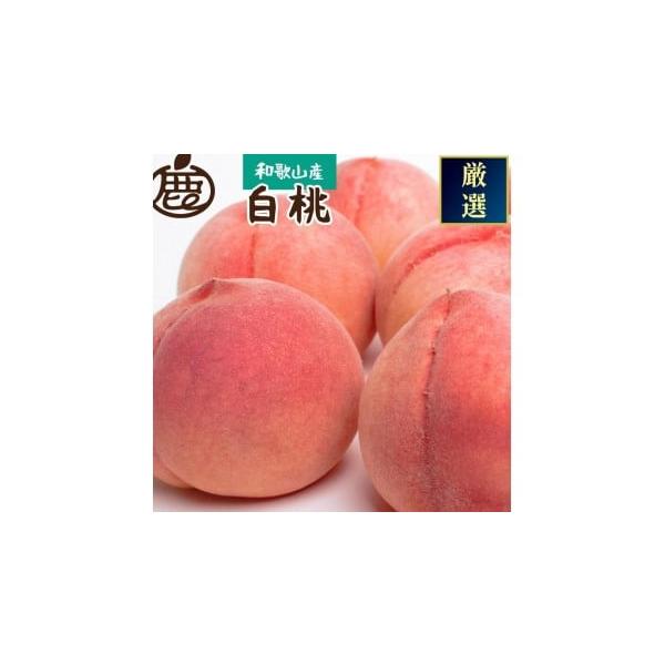 容量厳選白桃 約1kg［白鳳・清水白桃・川中島・もも・はくとう］［化粧箱入り］消費期限発送日から4日（ダンボール箱から取り出し、直射日光の当たらない冷暗所で保存してください。)発送期日2026年7月初旬〜7月末日頃、順次発送予定。※生育状況...