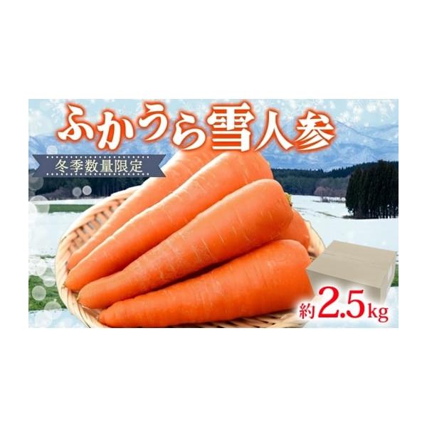 容量ふかうら雪人参　約2.5kg消費期限冷蔵14日発送期日2026年1月中旬〜2026年3月下旬配送常温 別送申込期日2026年3月10日まで事業者一般財団法人深浦町食産業振興公社申込条件何度も申し込み可