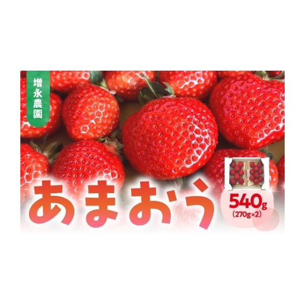ふるさと納税 いちご 福岡県 八女市 増永農園 あまおう 270g×2パック