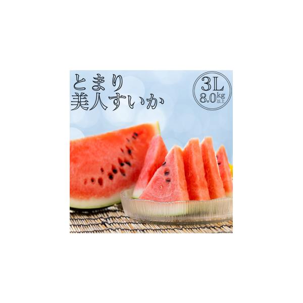 容量とまり美人西瓜8kg以上×1玉発送期日6月上旬〜6月下旬頃※生育の関係上発送時期が前後する可能性があります。※ご寄附いただいた順に発送いたしますので、お礼品の発送が時期の終わり頃になる可能性があります。配送常温 時間指定 別送申込期日入...