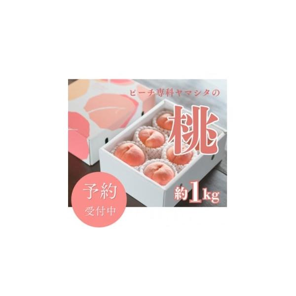 容量■お礼品の内容について・桃[約1kg(4〜6玉)]原産地:山梨県山梨市■原材料・成分桃(山梨県産)■注意事項／その他※玉数のご指定は出来ません。予めご了承ください。※天候や生育状況によりお届けが前後する場合がございます。記載の発送時期は...