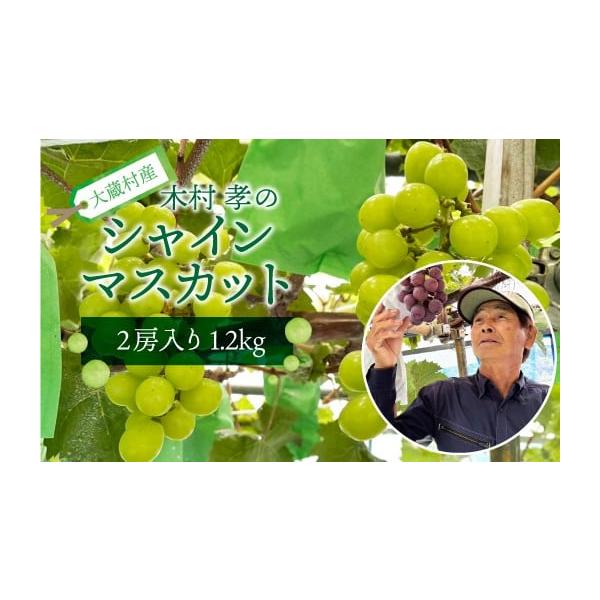 容量シャインマスカット　2房（約1.2kg）消費期限お早めにお召し上がりください。発送期日令和8年9月上旬〜中旬頃発送予定配送冷蔵 時間指定 別送申込期日令和8年9月1日まで申込条件何度も申し込み可