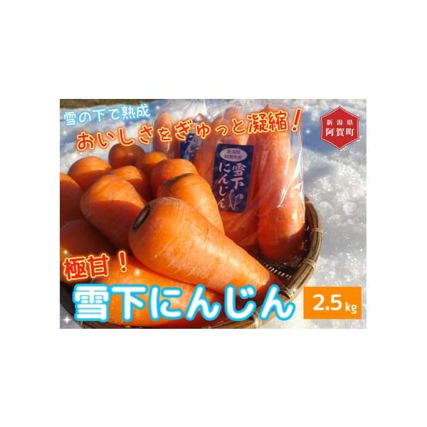容量雪下にんじん　2.5 kg　（Ｍ〜Ｌサイズ　おおまかに11〜17本くらい入り）消費期限生鮮食品ですので、なるべく早めにお使いください。発送期日令和8年　2月中旬頃より順次発送。配送常温 時間指定 別送申込期日令和8年　3月中旬（数量に達...