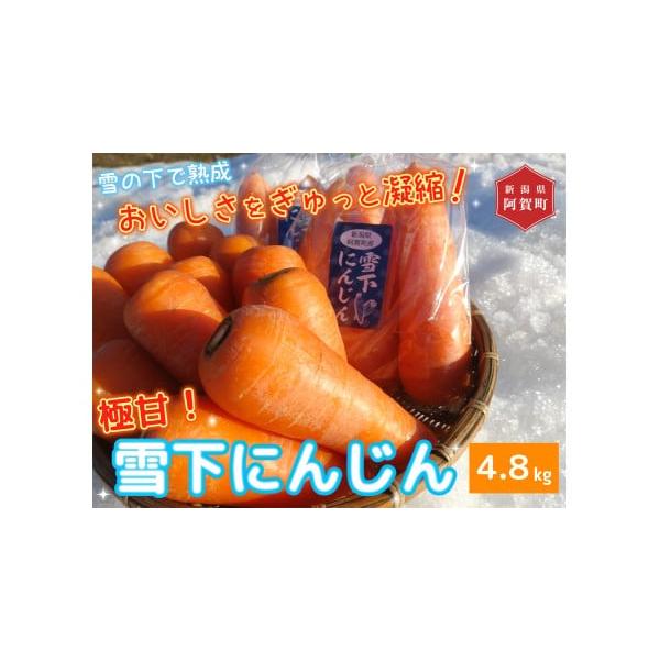 容量雪下にんじん　4.8 kg　（Ｍ〜Ｌサイズ　おおまかに20〜30本くらい入り）消費期限生鮮食品ですので、なるべく早めにお使いください。発送期日令和8年　2月中旬頃より順次発送。配送常温 時間指定 別送申込期日令和8年　3月中旬（数量に達...