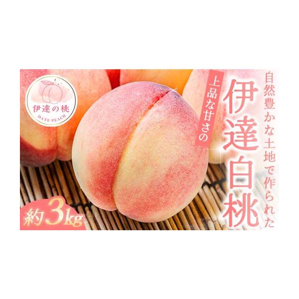 容量伊達白桃 約3kg 玉数おまかせ※収穫状況により発送時期が前後するため、前もって発送日を確定しにくい状況について何卒ご理解いただければ幸いです。※沖縄・離島へのお届けはできかねます。※桃はとてもデリケートな果物です。取扱いには十分ご注意...