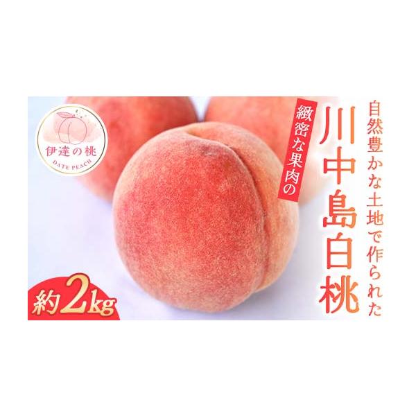 容量川中島白桃 約2kg 玉数おまかせ※収穫状況により発送時期が前後するため、前もって発送日を確定しにくい状況について何卒ご理解いただければ幸いです。※沖縄・離島へのお届けはできかねます。※桃はとてもデリケートな果物です。取扱いには十分ご注...