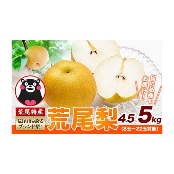 容量約4.5〜5kg（8〜22玉）旬の梨（品種：幸水梨、豊水梨、秋麗梨、あきづき、甘太、新高梨、新興梨、あたご梨、秋麗のいずれか）消費期限到着から1週間以内にお召し上がりください。発送期日2026年8月下旬‐11月中旬頃出荷配送冷蔵 時間指...