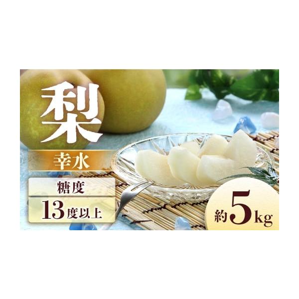 容量内容量：約5kg(8〜16玉)※大きさで玉数は異なります。発送期日2026年8月中旬〜9月上旬発送予定※その年の気候により配送時期に変動がある可能性がございます。配送常温 時間指定 別送申込期日＜2026年に発送する予約注文分です＞▼お...