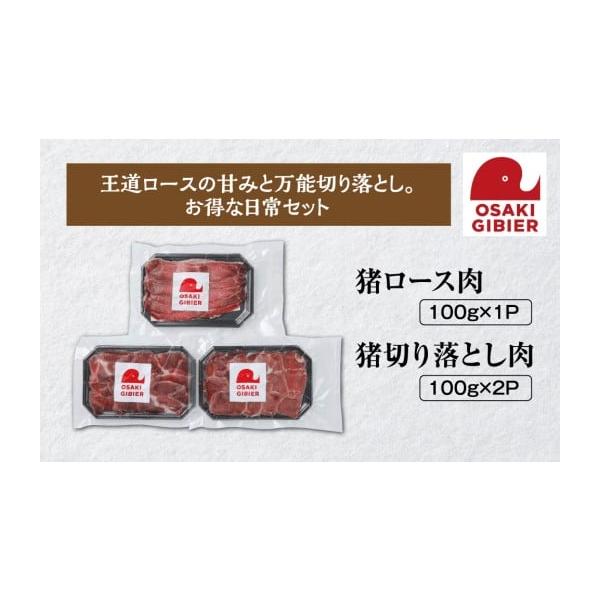 容量【お礼の品内容】猪肉セット【内容量・個数】猪ロース肉100g×1パック猪切り落とし肉100g×2パック【産地名】国産【賞味期限】出荷日を含め6ヶ月【保存方法】冷凍消費期限出荷日を含め6ヶ月発送期日決済から1ヶ月程度で発送配送冷凍 時間指...