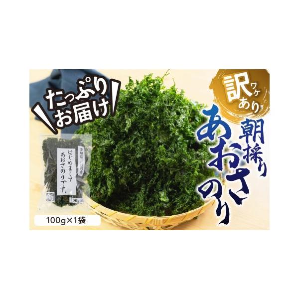 ふるさと納税 乾物 海藻 愛知県 田原市 訳あり あおさ 100g 簡易包装 愛知県 三河湾産 「はじめまして あおさのり です。 あおさ海苔 海苔 味噌汁 みそ汁 具 …