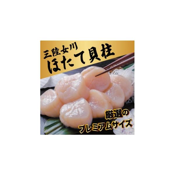 【ふるさと納税】冷凍ほたて貝柱(生食用) 厳選のプレミアムサイズ 500g/CAS凍結_ほたて 帆立 ホタテ 貝柱 海鮮 魚介 生食用 冷凍 美味しい 人気 三陸女川【配送不可地域：離島】【1708067】