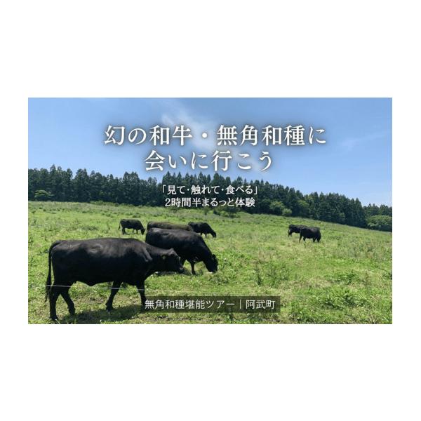 ふるさと納税 宿泊券 山口県 阿武町 体験チケット 無角和種堪能ツアー 2名様分 山口県阿武町 自然体験「見て・触れて・食べる」を2時間半でまるっと堪能