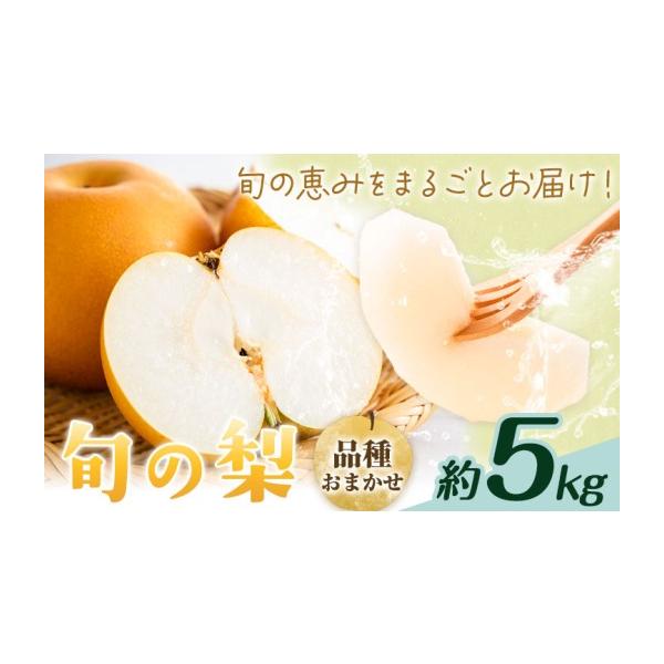 梨 熊本県 菊池市 先行予約 旬の梨 品種おまかせ 約5kg 日本フルーツ株式会社《2026年8月上旬-10月上旬頃出荷》熊本県 菊池市 梨 なし 豊水 秋…