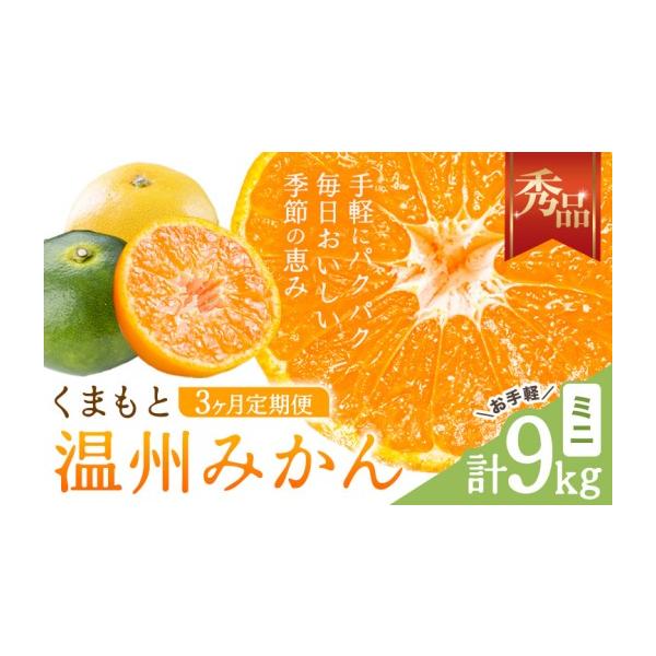 果物類 みかん 熊本県 長洲町 3ヶ月定期便 みかん 定期便 秀品 温州みかん ミニ 計9kg 日本フルーツ株式会社《10月上旬-12月末頃出荷》熊本県 … 約3kg〜9kg