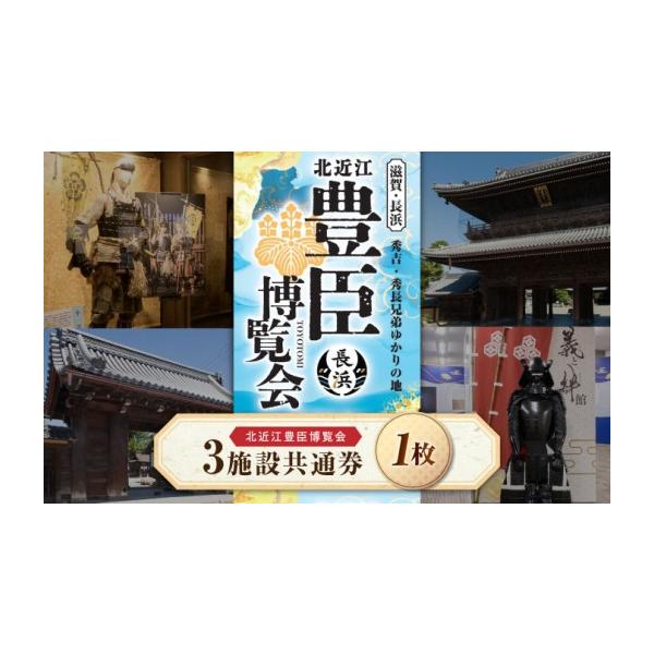 ふるさと納税 入場券・優待券 滋賀県 長浜市 北近江豊臣博覧会3施設共通券 滋賀県長浜市／北近江豊臣博覧会実行委員会 AQDR001