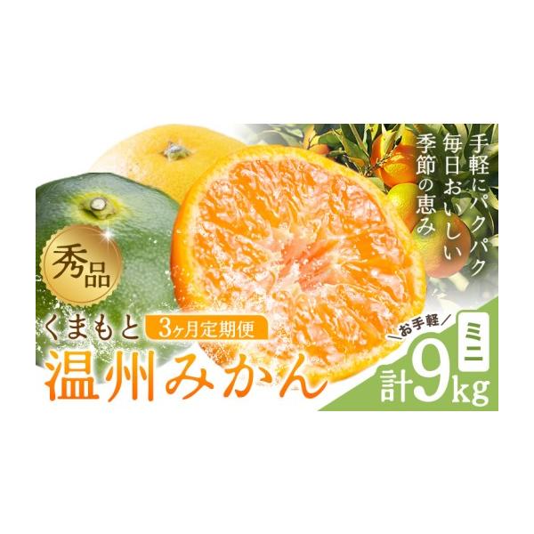 みかん・柑橘類 熊本県 荒尾市 秀品 温州みかん 3ヶ月 定期便 ミニ 計9kg 日本フルーツ株式会社《10月上旬-12月末頃出荷》熊本県 荒尾市 みかん … 約3kg〜9kg