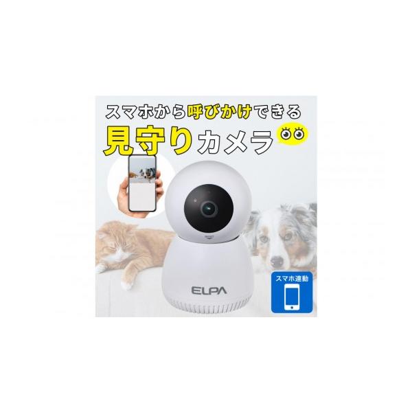 ふるさと納税 防災グッズ 大阪府 大東市 屋内用カメラ TBC-IP300