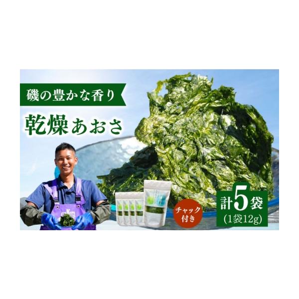 ふるさと納税 乾物 海藻 長崎県 新上五島町 上五島産 乾燥あおさ　12g×5袋 あおさ 乾燥 味噌汁の具 ごとうみ RCR002