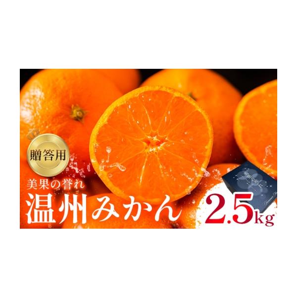 果物類 みかん 熊本県 荒尾市 贈答用 温州みかん 約2.5kg 日本フルーツ株式会社 熊本県 荒尾市 《11月上旬-2月中旬頃出荷》
