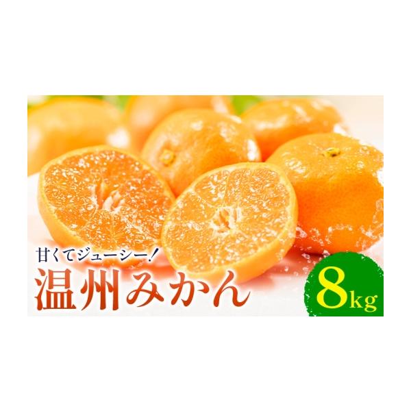 果物類 みかん 熊本県 荒尾市 温州みかん 約8kg 日本フルーツ株式会社 熊本県 荒尾市 《10月中旬-2月中旬頃出荷》 果物 フルーツ スイーツ デザ…