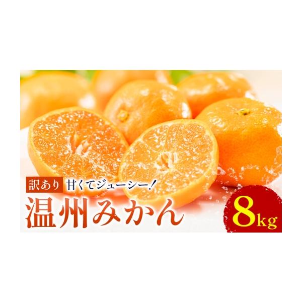 果物類 みかん 熊本県 荒尾市 訳あり 温州みかん 約8kg 日本フルーツ株式会社 熊本県 荒尾市 《10月中旬-2月中旬頃出荷》 果物 フルーツ スイー…
