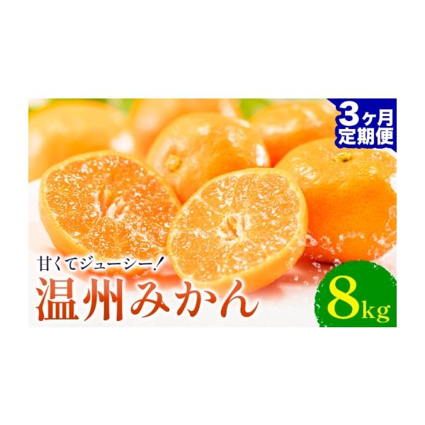 果物類 みかん 熊本県 荒尾市 3ヶ月定期便 温州みかん 約8kg 日本フルーツ株式会社 熊本県 荒尾市 《10月上旬-12月末頃出荷》 デコポン 果物 フ…