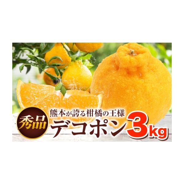みかん・柑橘類 デコポン 熊本県 荒尾市 贈答用 デコポン 3kg 日本フルーツ株式会社 熊本県 荒尾市 《12月中旬-4月中旬頃出荷》 デコポン 果物 … 約3kg