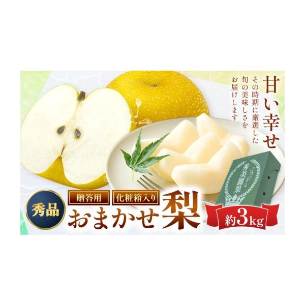 荒尾市産 梨 約3kg
