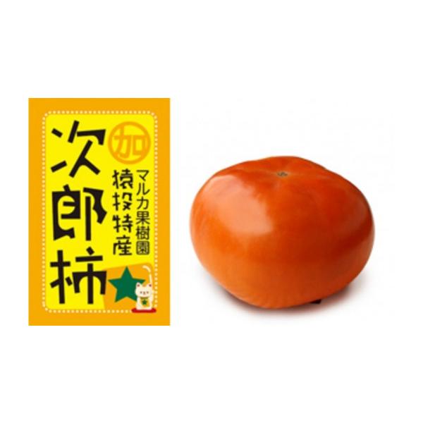 ふるさと納税 果物類 柿 愛知県 豊田市  先行受付 次郎柿　約4.4kg 2026年10月下旬以降順次発送