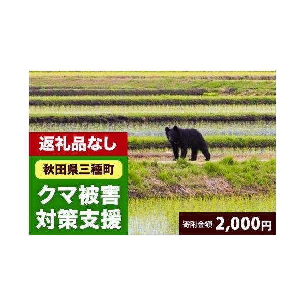 ふるさと納税 イベントやチケット等 秋田県 三種町  返礼品なし 秋田県三種町 クマ被害対策支援 2,000円 熊 くま クマ被害対策 寄附額 2,000円