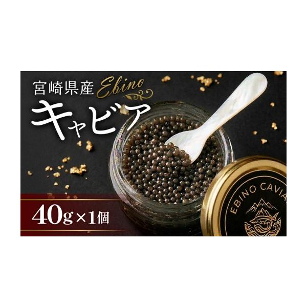 ふるさと納税 魚貝類 キャビア 宮崎県 えびの市  ふるさと納税 キャビア 国産 40g 冷凍 宮崎県 えびの市産