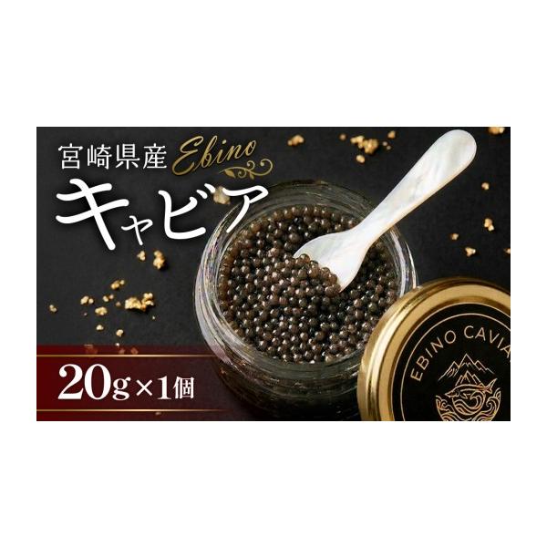 ふるさと納税 魚貝類 キャビア 宮崎県 えびの市  ふるさと納税 キャビア 国産 20g 冷凍 宮崎県 えびの市産