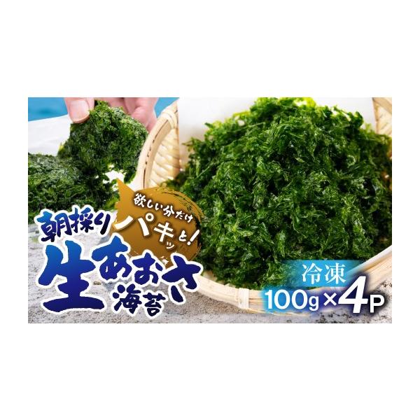 ふるさと納税 乾物 海藻 愛知県 田原市 朝採り 冷凍 生あおさ 400g　|　あおさ あおさのり 海苔 あおさ海苔 アオサ 冷凍 生 生あおさ 生アオサ 急速冷凍 旬 味…