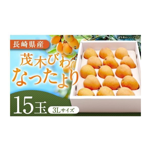 ふるさと納税 果物類 びわ 長崎県 長崎市 先行予約 茂木 びわ 『なつたより』 3Lサイズ 15玉 入り 2027年5月下旬-6月上旬発送予定 ／ 果物 くだもの フルーツ …