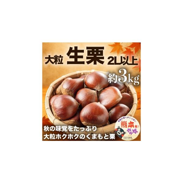 熊本県産 栗 約3kg