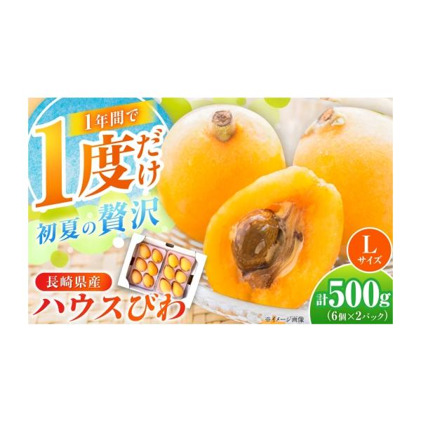 ふるさと納税 果物類 びわ 長崎県 - ハウスびわ 500g Lサイズ12個（6個×2P） 2027年4月お届け 長崎県／やまぐち農園 42AACQ003 びわ ビワ 枇杷 果物 フルーツ…